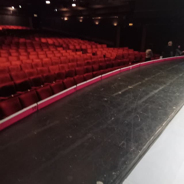 Peacock Theatre