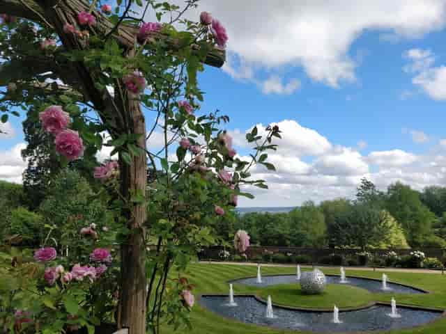 Riverhill Himalayan Gardens - image 3