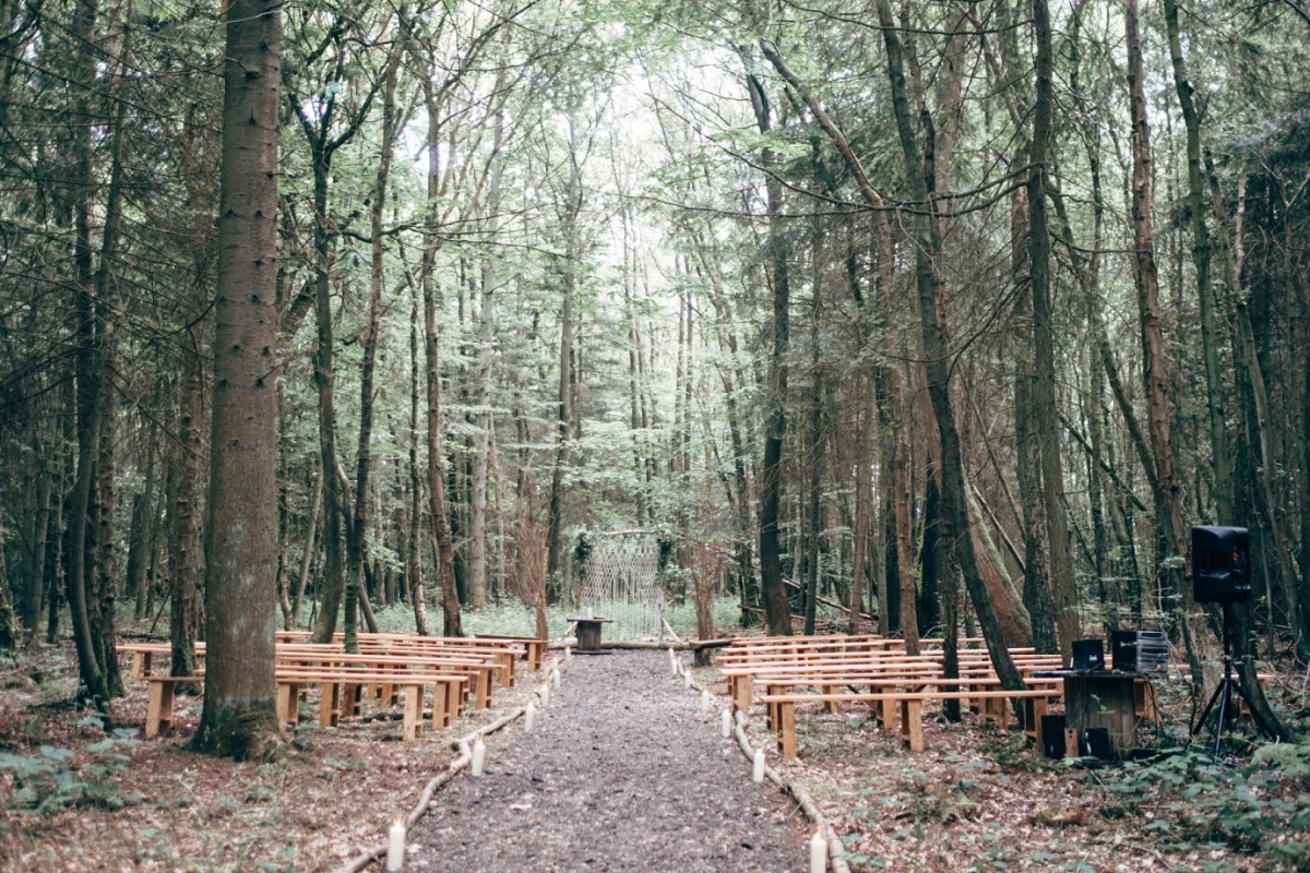 Longton Wood - image 1