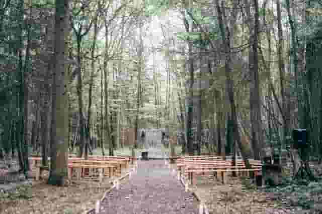 Longton Wood