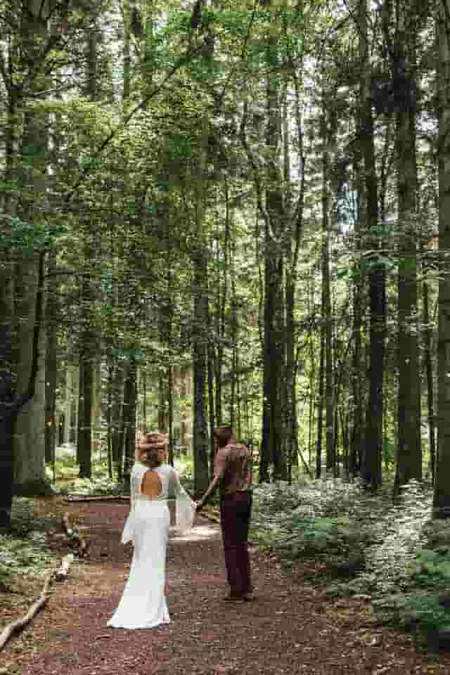 Longton Wood