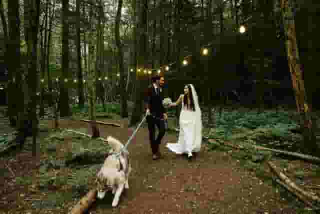 Longton Wood
