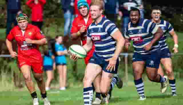 Grass pitches / outdoor playing fields