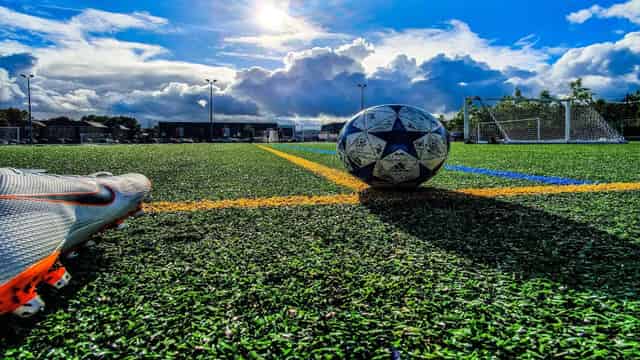 Grass pitches / outdoor playing fields