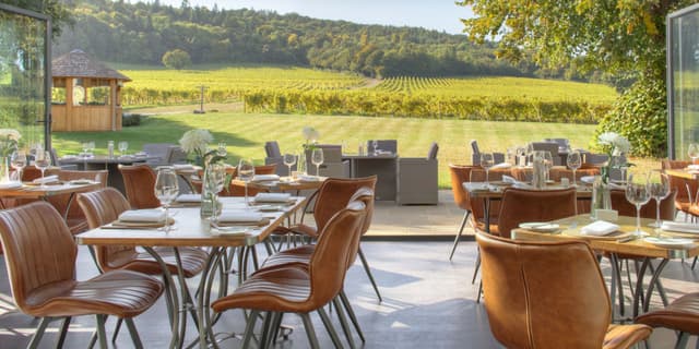 The Wine Library