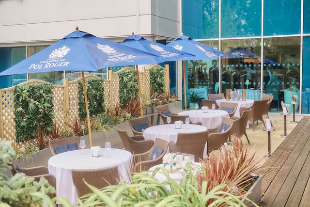 The Terrace and Bar 