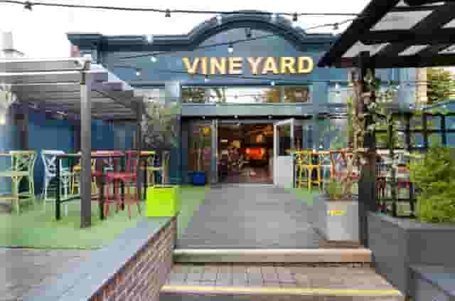 The Vineyard