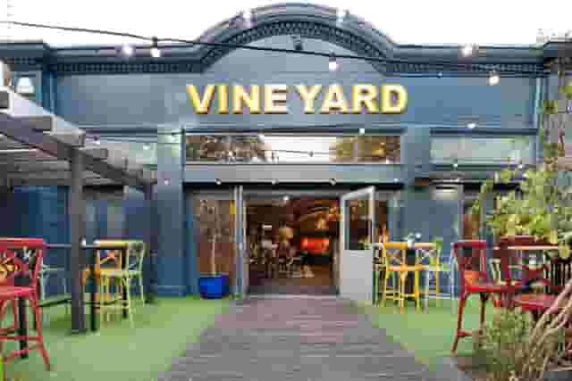 The Vineyard