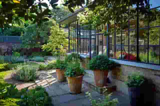 The Vineyard