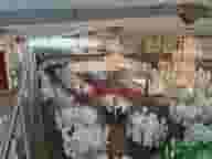 Waltham Forest