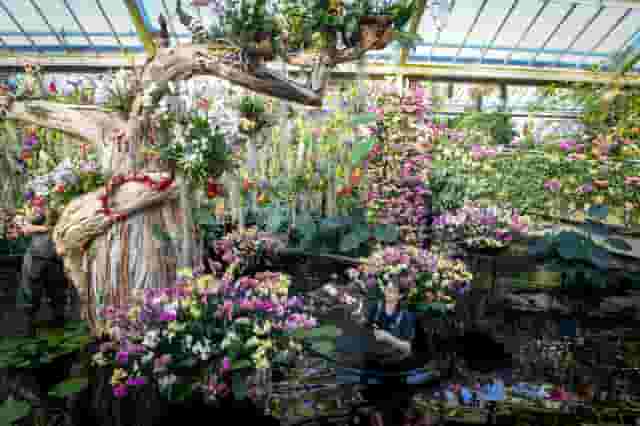 The Conservatory Studio