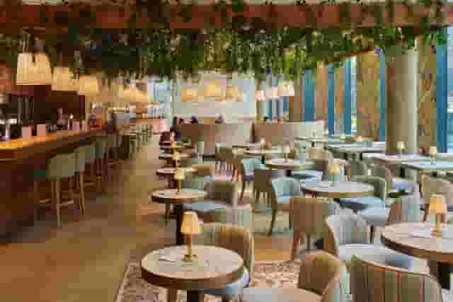 Light, Open Premium Restaurant