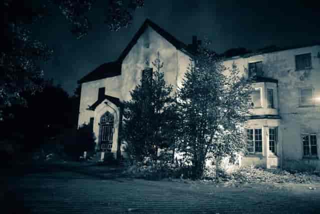 Antwerp Mansion - image 3