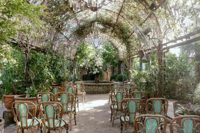 The Grounds of Alexandria - image 2