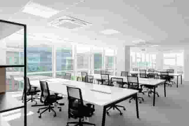 The Social Hub