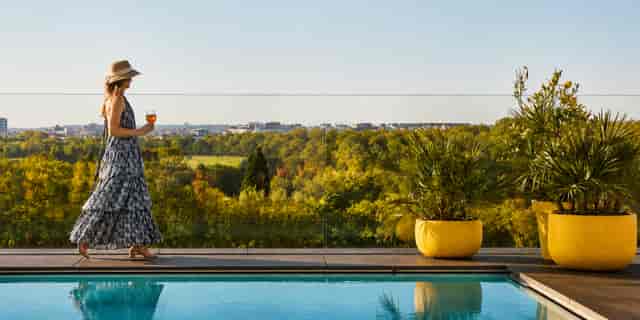 XXXIII - image 2