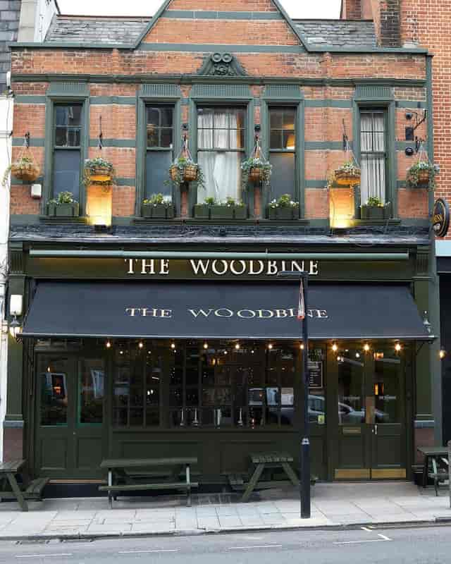 The Woodbine - image 3