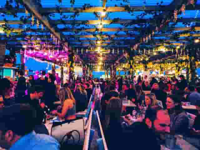 Pergola Paddington