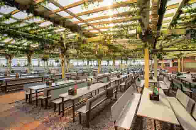 Pergola Paddington