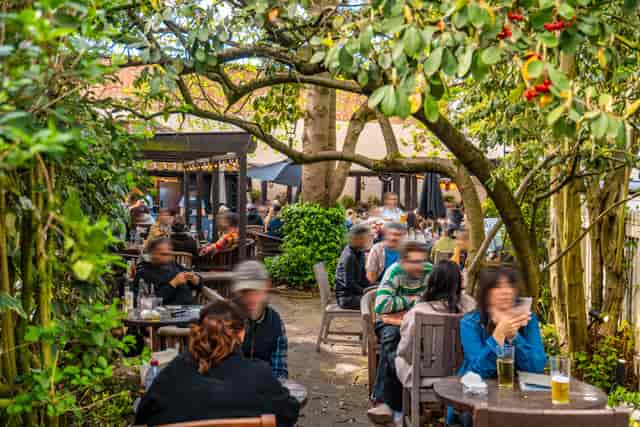 Forest Tavern - image 2