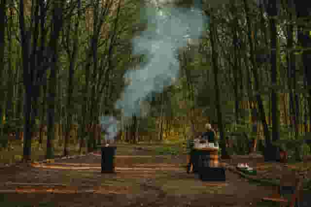 Forest Tavern