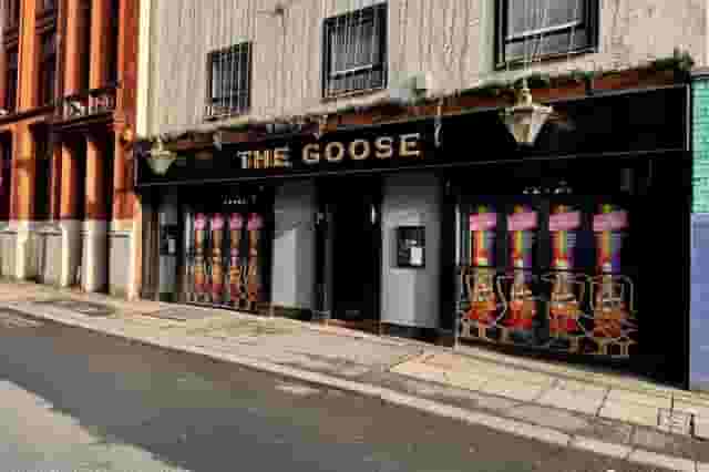 The Goose