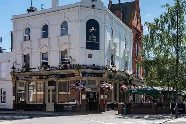 The White Horse - image 3