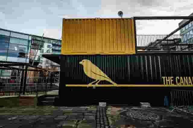 The Canary
