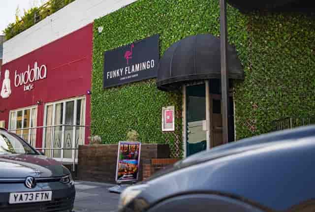 Funky Flamingo - image 2