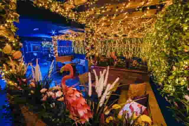 The Social