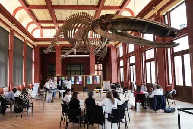 Elisabeth Center Antwerp - image 2