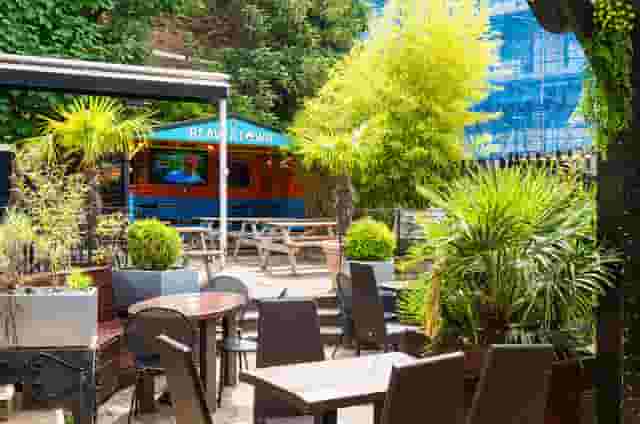 The Gipsy Moth