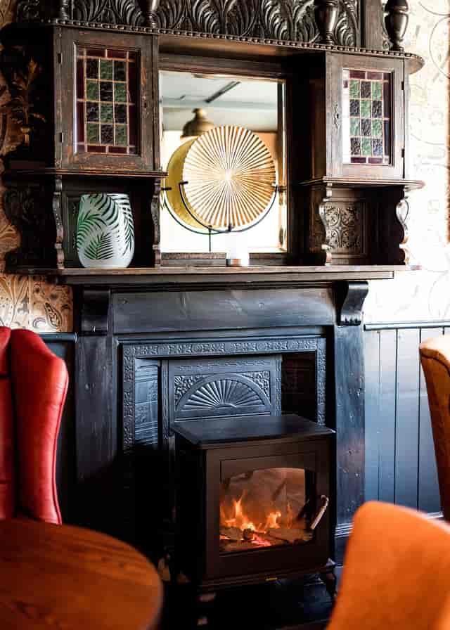 The Gipsy Moth - image 3