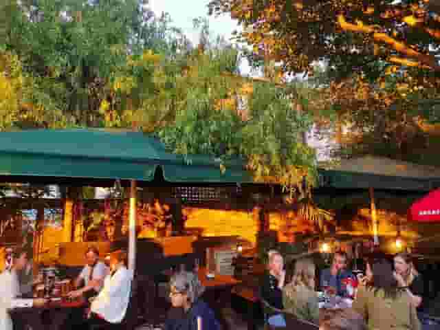 The Gipsy Moth