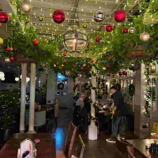 The Gipsy Moth