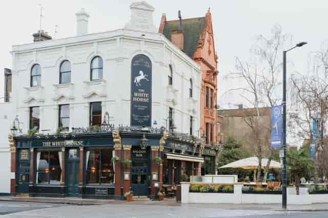 The White Horse - image 2
