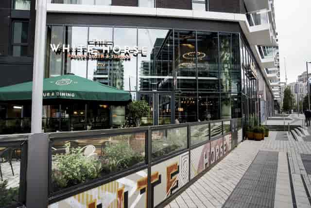 The White Horse - image 3