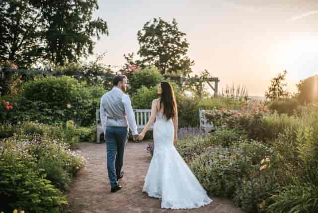 West Dean Gardens - image 2