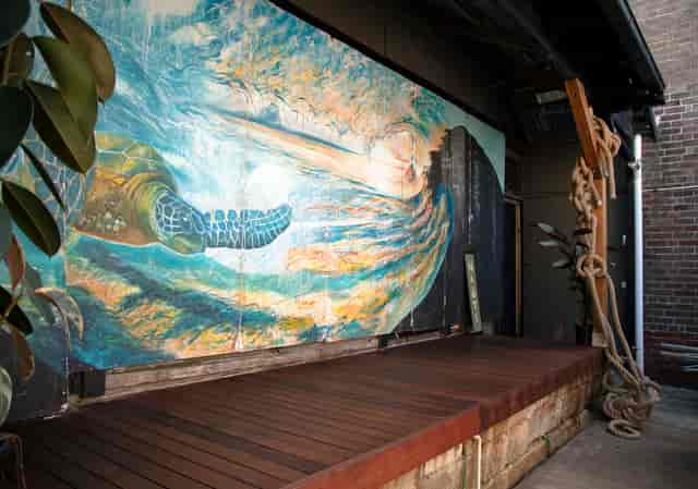 Nauti Studios - image 3