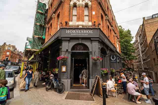 The Horseshoe - image 3