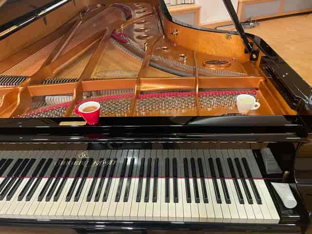 Steinway Hall - image 3