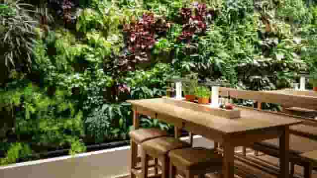 Garden Bar & Restaurant Monton