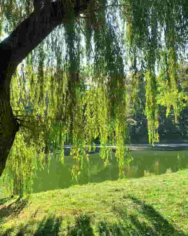 Heaton Park