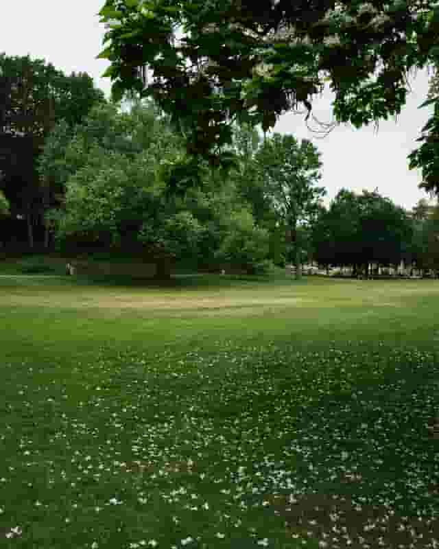 Heaton Park