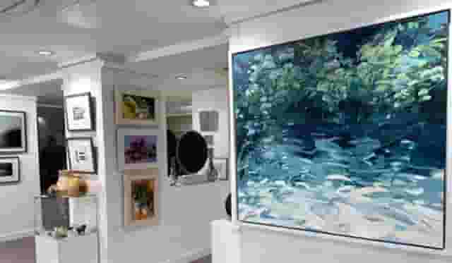 Hayden Gallery