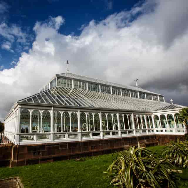 Ohana's Venue - image 2