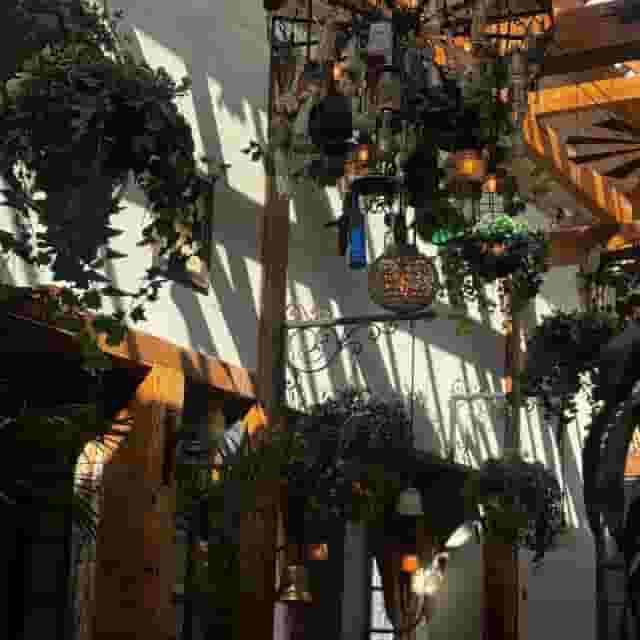 Kitchen Garden Café