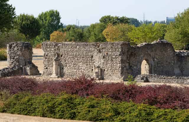 Main Lodge