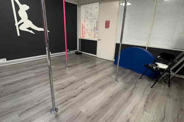 Aerialactive Pole Dancing Studio - image 2