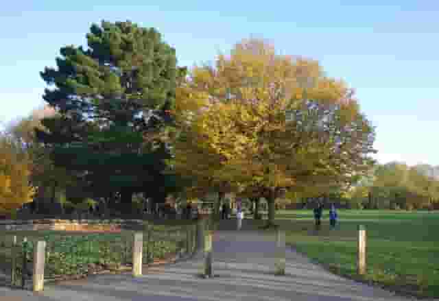 Wandsworth Parks and Commons